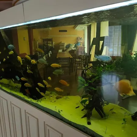 Afrodita , 4 Floor, Pool View * Солнечный берег